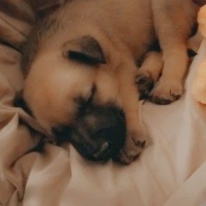 Meet your Posher, Aaron